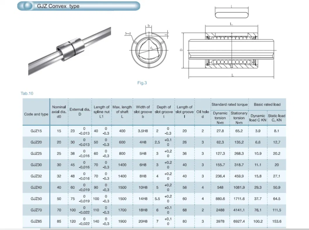 Factory Directly Custom Length 60mm Ball Screw Spline for CNC Machine