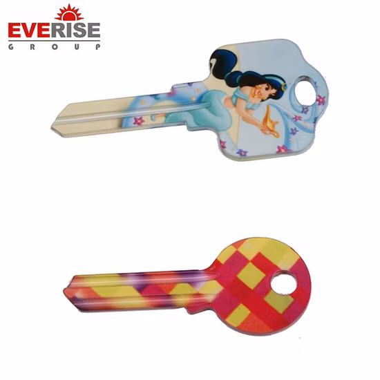 Venta al por mayor de China, cerradura de color cobre nuevo/Newstyle de alta calidad, llaves en blanco para puerta de casa/casa, precio con patrones